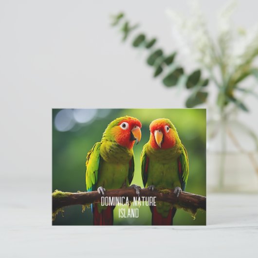 NATUUR EILAND DOMINICA PAPEGAAIEN BRIEFKAART (Staand voorkant)