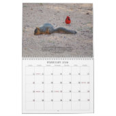 Natuur en Bijbelverzen Kalender (Feb 2026)