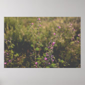 Natuur- en bloemenfotografieposter poster (Voorkant)