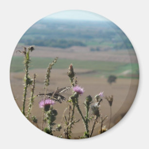 Natuur en Butterfly Photo Magnet