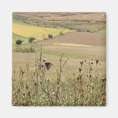 Natuur en Butterfly Photo Magnet (Voorkant)