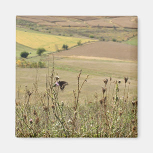 Natuur en Butterfly Photo Magnet