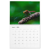 Natuur en dieren kalender (Mar 2026)
