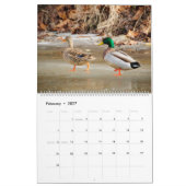 Natuur en dieren kalender (Feb 2027)