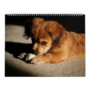 Natuur en dieren kalender