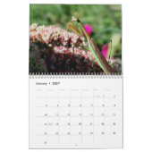 Natuur- en dierenfotografie kalender (Jan 2027)