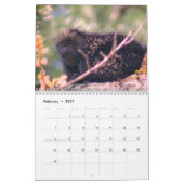 Natuur- en dierenfotografie kalender (Feb 2027)