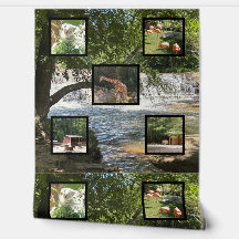 Natuur en dierenwereld,