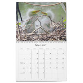 Natuur en kalender voor wilde dieren (Mar 2027)