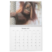 Natuur en kalender voor wilde dieren (Jan 2027)
