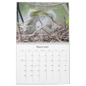 Natuur en kalender voor wilde dieren (Mar 2026)