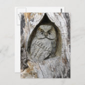 Natuur- en kunstcentrum briefkaart (Voorkant / Achterkant)