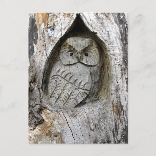 Natuur- en kunstcentrum briefkaart (Voorkant)