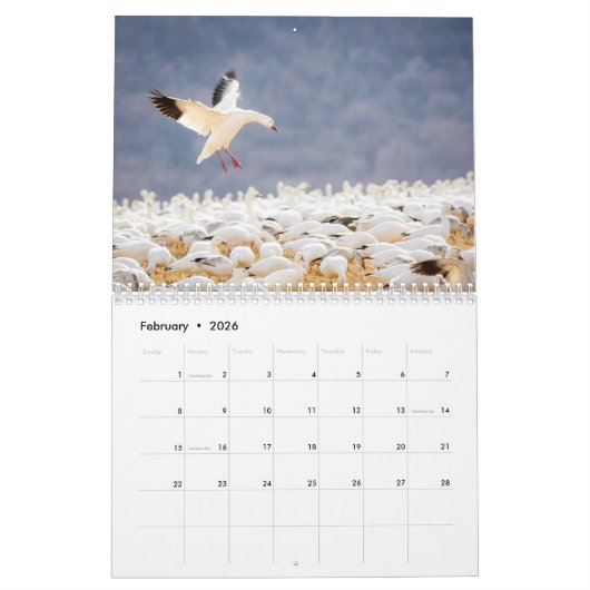 Natuur en landschap Agenda 2021 Kalender (Feb 2026)