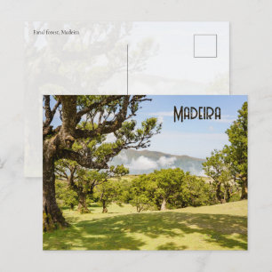 Natuur en landschap van Fanal-bos, Madeira Briefkaart