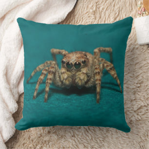 Natuur Enge Spin Foto Kussen