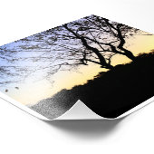 NATUUR EVERGLADES FOTO FOTO AFDRUK (Hoek)