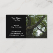 Natuur/Evergreen Camphor Tree Visitekaartje