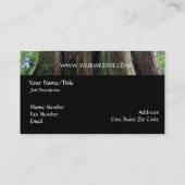 Natuur/Evergreen Old Tall Tree Naturalist Visitekaartje (Achterkant)