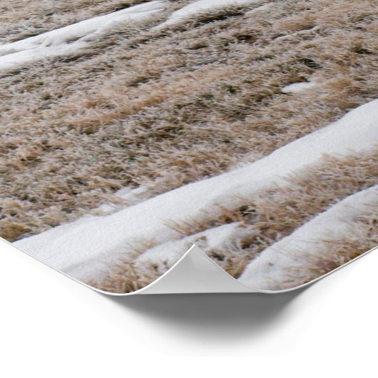 Natuur februari Poster met gedicht (Hoek)