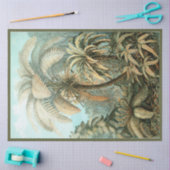 Natuur Fern Ernst Haeckel - Vergiftepapier Tissuepapier (Craft)