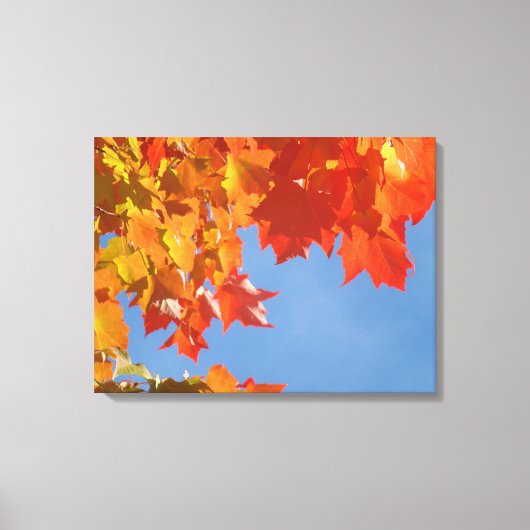 Natuur Fijne kunst Canvasa Prints Herfstbladeren B (Voorkant)