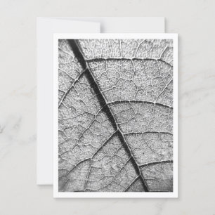 Natuur Fine Art fotografie briefkaart