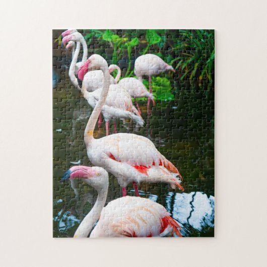 Natuur Flamingo Legpuzzel (Verticaal)