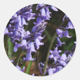 Natuur Floral Blue Paars Ronde Sticker