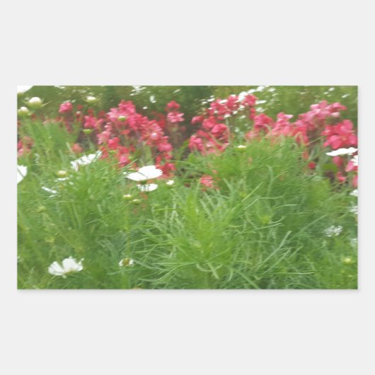 Natuur Floral Pink en White Flowers Grass Rechthoekige Sticker (Voorkant)
