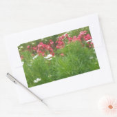 Natuur Floral Pink en White Flowers Grass Rechthoekige Sticker (Envelop)
