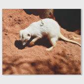 Natuur Forager: White Meerkat Digging for Bugs Cadeaupapier (Vlak)