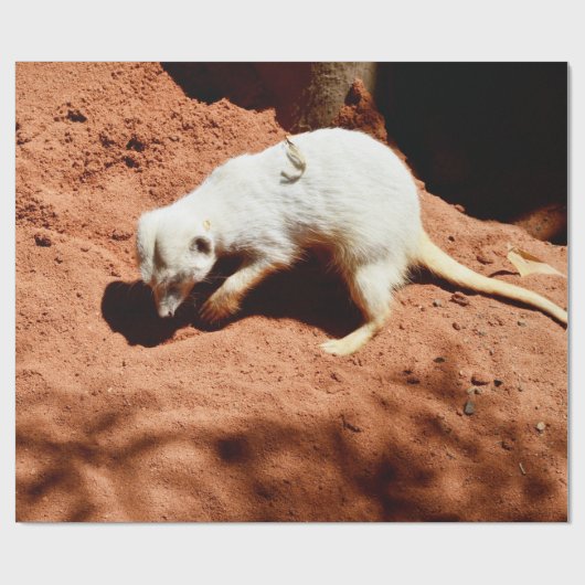 Natuur Forager: White Meerkat Digging for Bugs Cadeaupapier (Vlak)