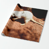 Natuur Forager: White Meerkat Digging for Bugs Cadeaupapier (Uitgerold)