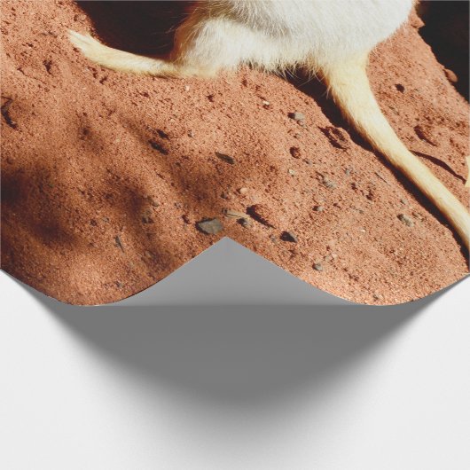 Natuur Forager: White Meerkat Digging for Bugs Cadeaupapier (Hoek)