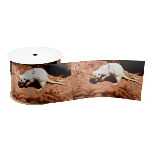 Natuur Forager: White Meerkat Digging for Bugs Satijnen Lint (Spoel)