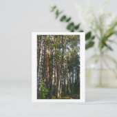 Natuur Forest Birch Trees Green Landscape Briefkaart (Staand voorkant)