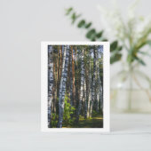 Natuur Forest Birch Trees Green Landscape Briefkaart (Staand voorkant)