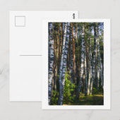 Natuur Forest Birch Trees Green Landscape Briefkaart (Voorkant / Achterkant)