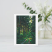 Natuur Forest Birch Trees Landscape Road Briefkaart (Staand voorkant)