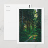 Natuur Forest Birch Trees Landscape Road Briefkaart (Voorkant / Achterkant)