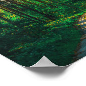 Natuur Forest Birch Trees Landscape Road Poster (Hoek)