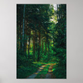 Natuur Forest Birch Trees Landscape Road Poster (Voorkant)