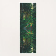 Natuur Forest Birch Trees Landscape Road