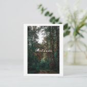 Natuur Forest Birch Trees Landschap Belarus Briefkaart (Staand voorkant)