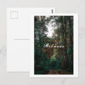 Natuur Forest Birch Trees Landschap Belarus Briefkaart (Voorkant / Achterkant)