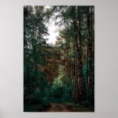 Natuur Forest Birch Trees Landschap Belarus Poster (Voorkant)
