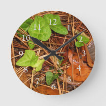 Natuur Forest Floor English Ivy Rainy Leaves Clock