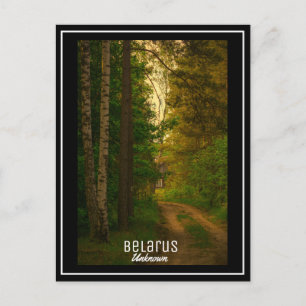 Natuur Forest Rural Hut Village Belarus Onbekend Briefkaart
