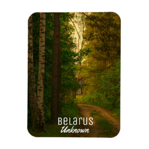 Natuur Forest Rural Hut Village Belarus Onbekend Magneet